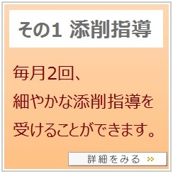 通信講座 | 書道教室・通信講座で書を愉しもう｜ふたば書道会